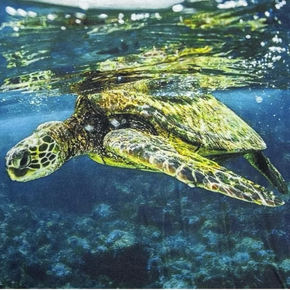 🍄Women's Sea Turtle Turquoise Ocean V-Neck Shirt Beach Vacation Top Blouse XL - Picture 2 of 8